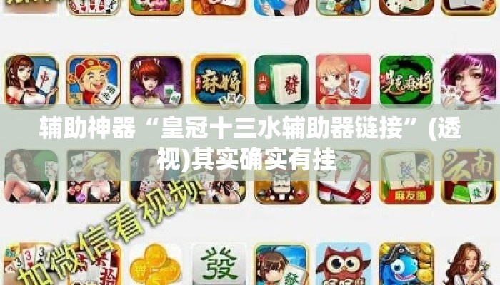 辅助神器“皇冠十三水辅助器链接”(透视)其实确实有挂 
