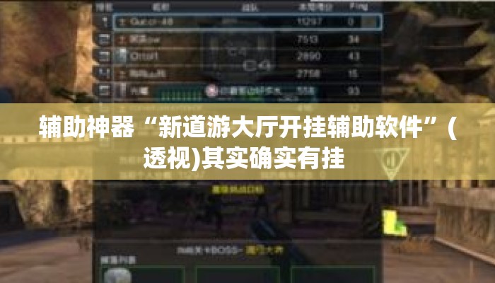 辅助神器“新道游大厅开挂辅助软件”(透视)其实确实有挂 