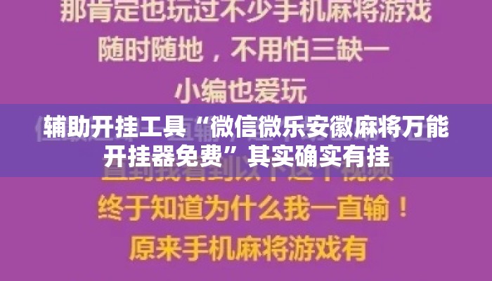 辅助开挂工具“微信微乐安徽麻将万能开挂器免费	”其实确实有挂