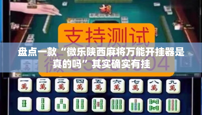 盘点一款“微乐陕西麻将万能开挂器是真的吗”其实确实有挂