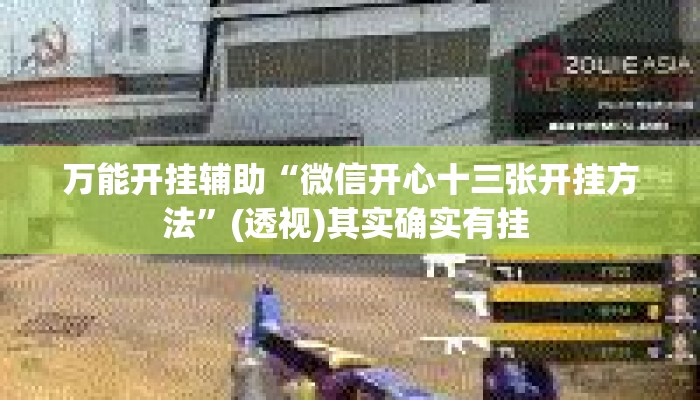 万能开挂辅助“微信开心十三张开挂方法”(透视)其实确实有挂 