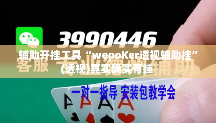 辅助开挂工具“wepoKer透视辅助挂	”(透视)其实确实有挂 