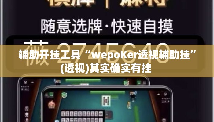 辅助开挂工具“wepoKer透视辅助挂”(透视)其实确实有挂 