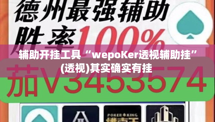 辅助开挂工具“wepoKer透视辅助挂”(透视)其实确实有挂 