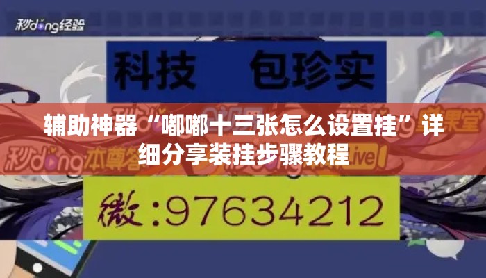辅助神器“嘟嘟十三张怎么设置挂	”详细分享装挂步骤教程