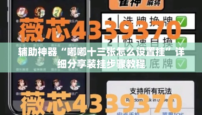 辅助神器“嘟嘟十三张怎么设置挂”详细分享装挂步骤教程