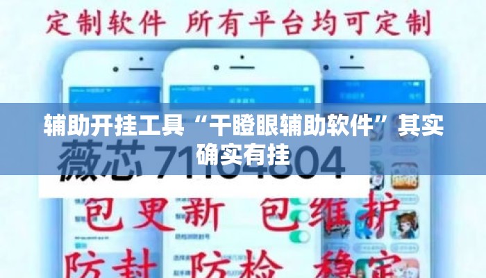 辅助开挂工具“干瞪眼辅助软件”其实确实有挂