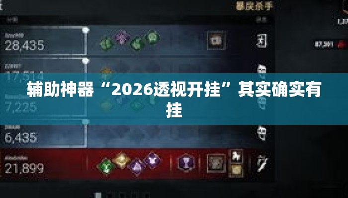 辅助神器“2026透视开挂”其实确实有挂