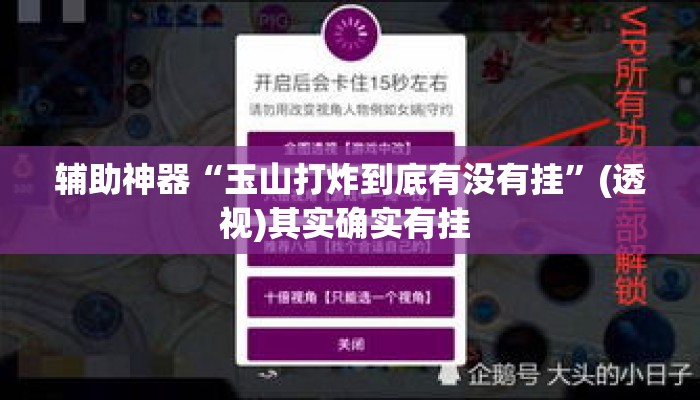 辅助神器“玉山打炸到底有没有挂”(透视)其实确实有挂 