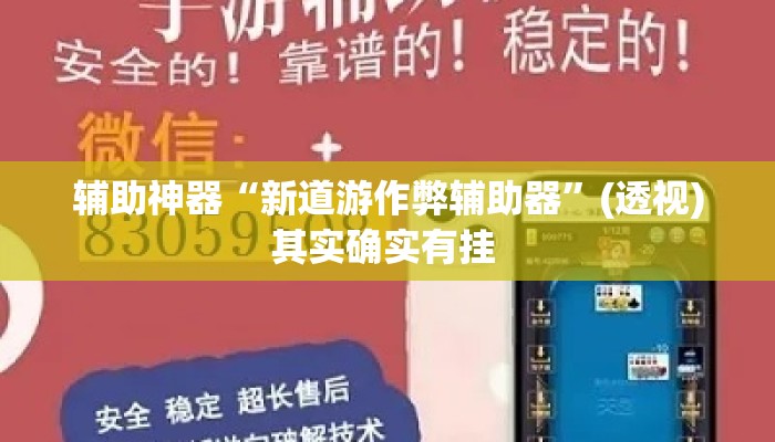 辅助神器“新道游作弊辅助器”(透视)其实确实有挂 