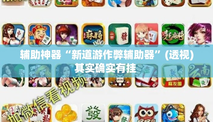 辅助神器“新道游作弊辅助器	”(透视)其实确实有挂 