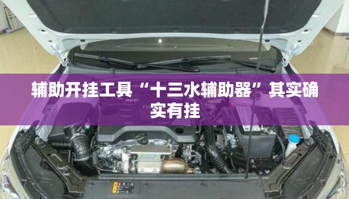 辅助开挂工具“十三水辅助器”其实确实有挂
