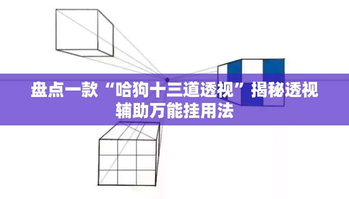 盘点一款“哈狗十三道透视”揭秘透视辅助万能挂用法