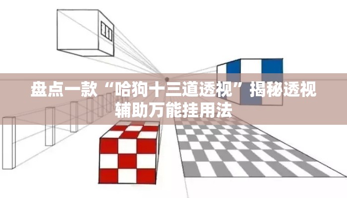 盘点一款“哈狗十三道透视	”揭秘透视辅助万能挂用法