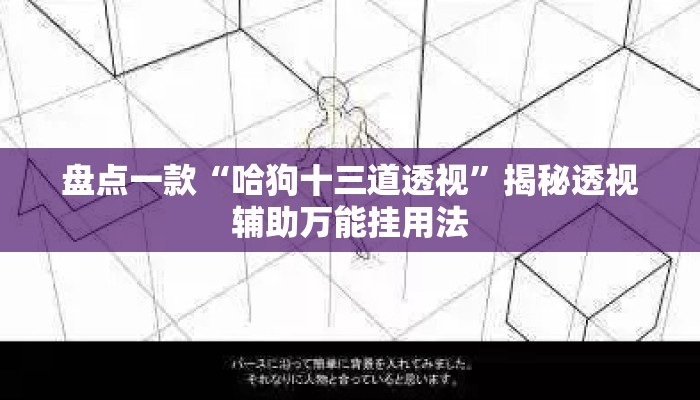 盘点一款“哈狗十三道透视”揭秘透视辅助万能挂用法