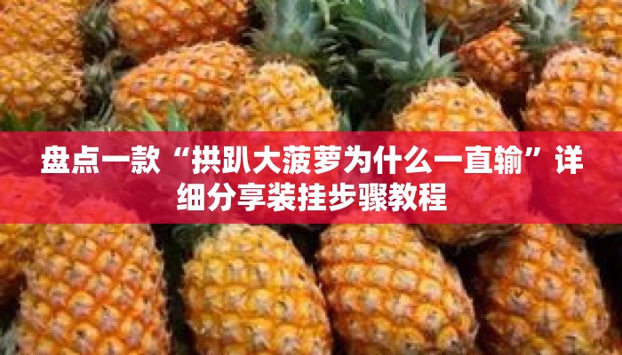 盘点一款“拱趴大菠萝为什么一直输	”详细分享装挂步骤教程