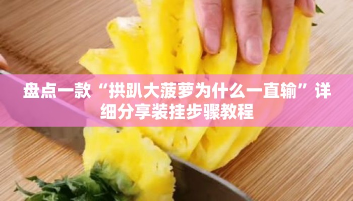 盘点一款“拱趴大菠萝为什么一直输”详细分享装挂步骤教程