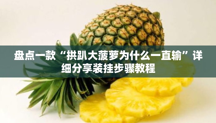 盘点一款“拱趴大菠萝为什么一直输”详细分享装挂步骤教程