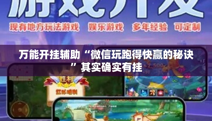 万能开挂辅助“微信玩跑得快赢的秘诀”其实确实有挂