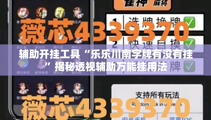 辅助开挂工具“乐乐川南字牌有没有挂	”揭秘透视辅助万能挂用法