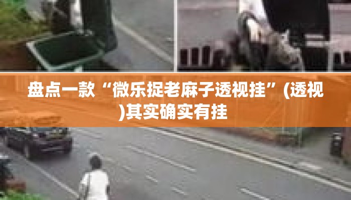 盘点一款“微乐捉老麻子透视挂	”(透视)其实确实有挂 