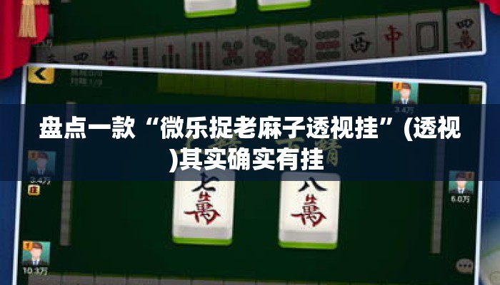 盘点一款“微乐捉老麻子透视挂	”(透视)其实确实有挂 