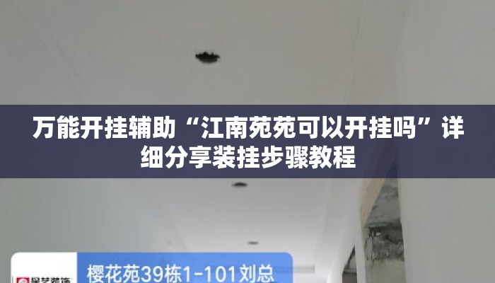万能开挂辅助“江南苑苑可以开挂吗”详细分享装挂步骤教程