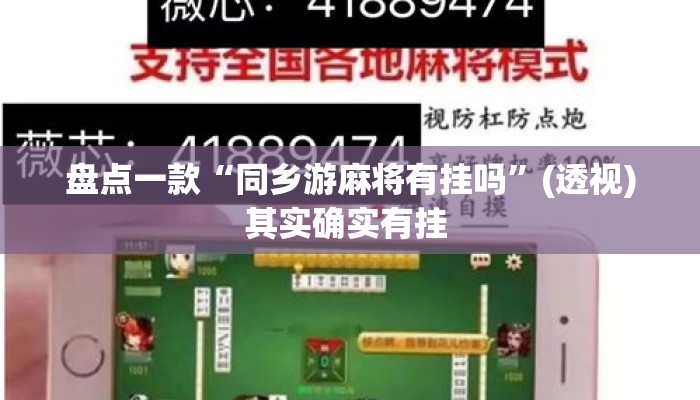 盘点一款“同乡游麻将有挂吗”(透视)其实确实有挂 