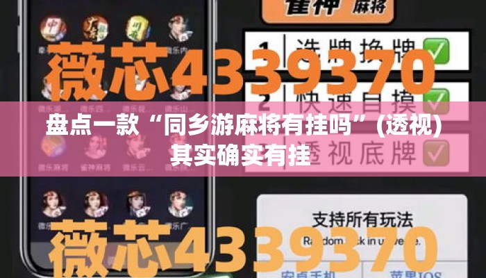 盘点一款“同乡游麻将有挂吗”(透视)其实确实有挂 