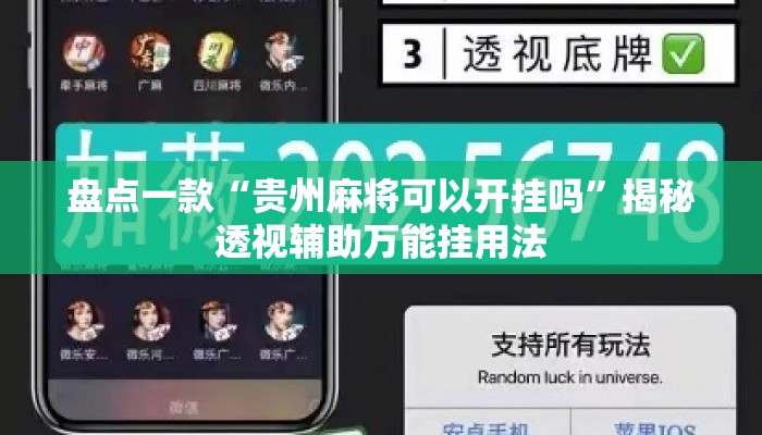 盘点一款“贵州麻将可以开挂吗”揭秘透视辅助万能挂用法