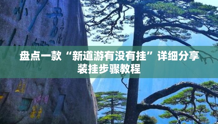 盘点一款“新道游有没有挂”详细分享装挂步骤教程