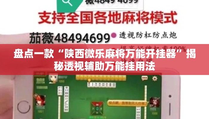 盘点一款“陕西微乐麻将万能开挂器”揭秘透视辅助万能挂用法