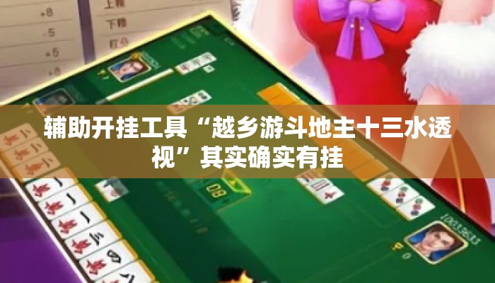 辅助开挂工具“越乡游斗地主十三水透视	”其实确实有挂