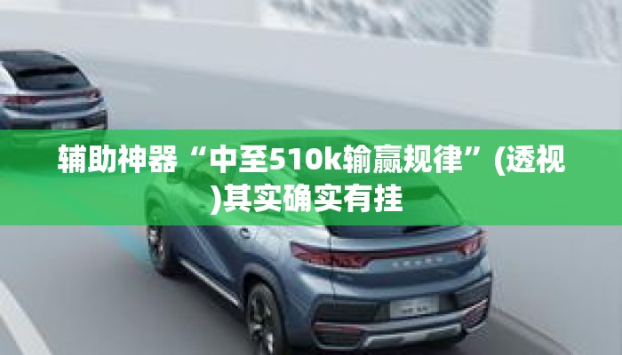 辅助神器“中至510k输赢规律”(透视)其实确实有挂 