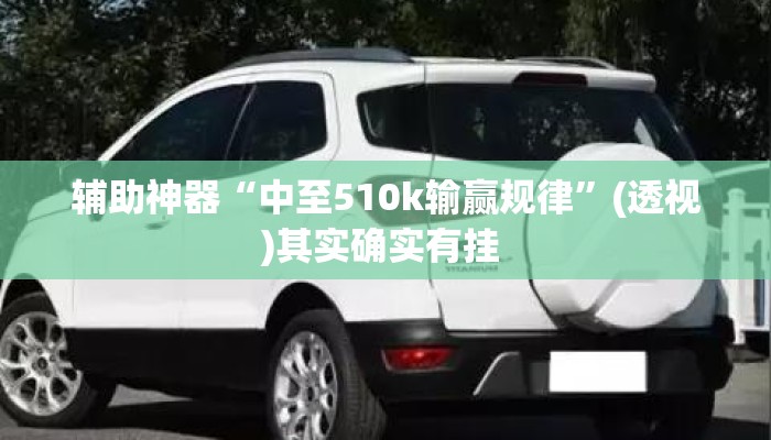 辅助神器“中至510k输赢规律	”(透视)其实确实有挂 