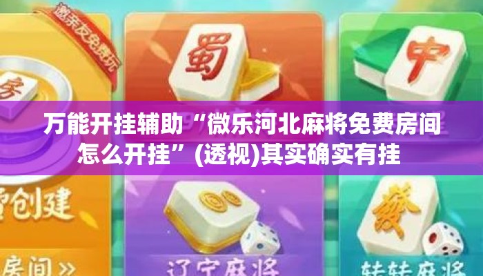 万能开挂辅助“微乐河北麻将免费房间怎么开挂”(透视)其实确实有挂 