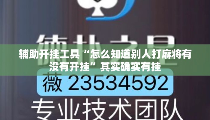 辅助开挂工具“怎么知道别人打麻将有没有开挂”其实确实有挂