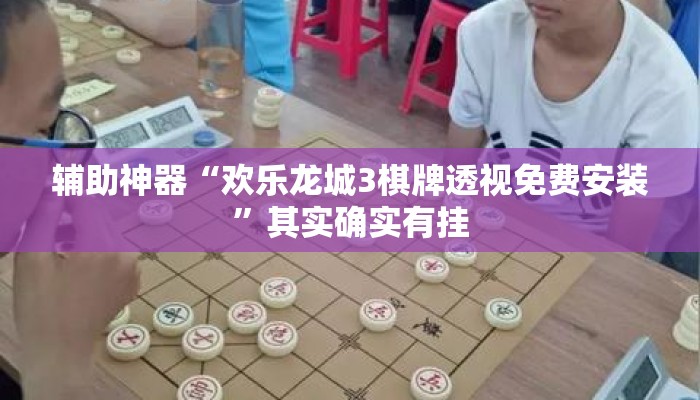 辅助神器“欢乐龙城3棋牌透视免费安装	”其实确实有挂