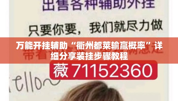 万能开挂辅助“衢州都莱输赢概率	”详细分享装挂步骤教程