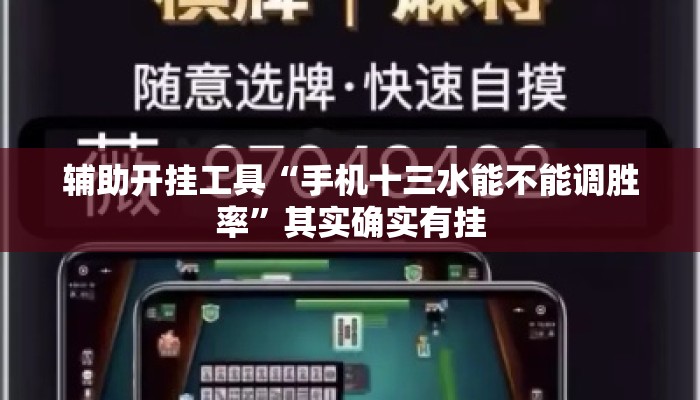 辅助开挂工具“手机十三水能不能调胜率”其实确实有挂