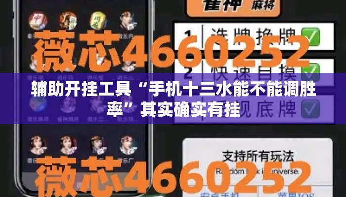 辅助开挂工具“手机十三水能不能调胜率	”其实确实有挂