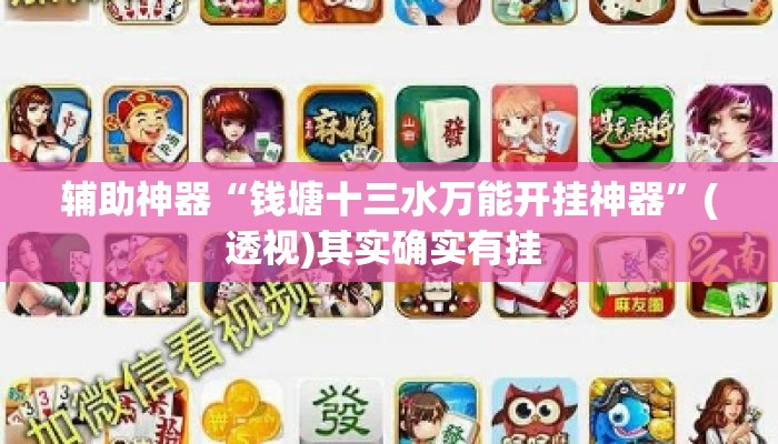 辅助神器“钱塘十三水万能开挂神器”(透视)其实确实有挂 