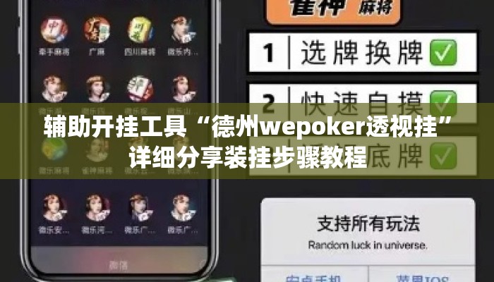 辅助开挂工具“德州wepoker透视挂”详细分享装挂步骤教程