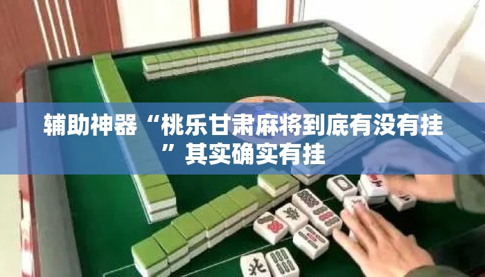 辅助神器“桃乐甘肃麻将到底有没有挂”其实确实有挂