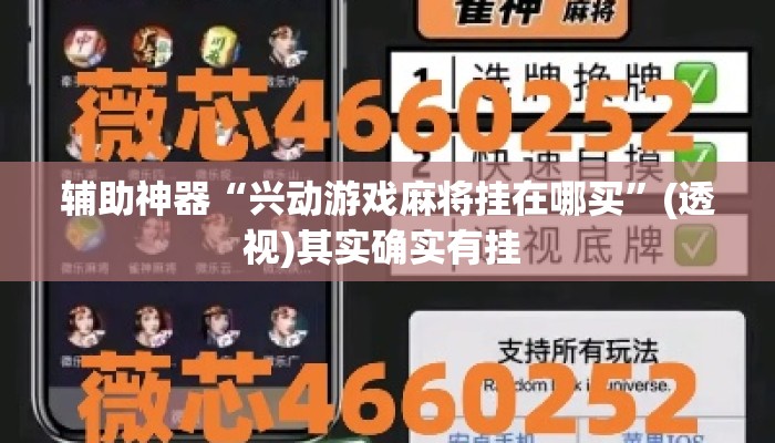 辅助神器“兴动游戏麻将挂在哪买	”(透视)其实确实有挂 