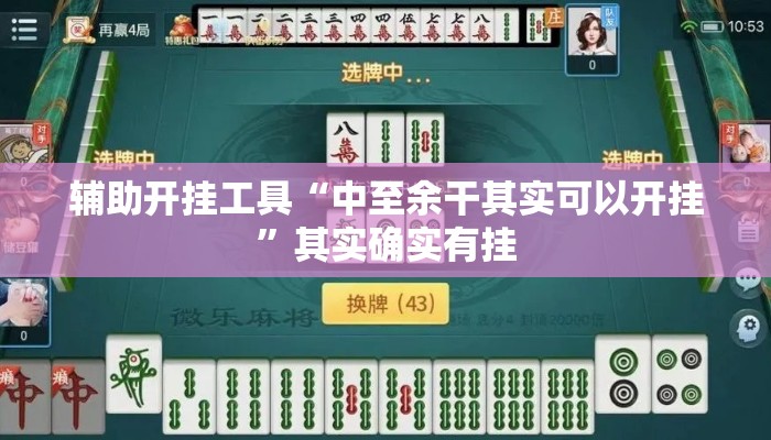 辅助开挂工具“中至余干其实可以开挂”其实确实有挂