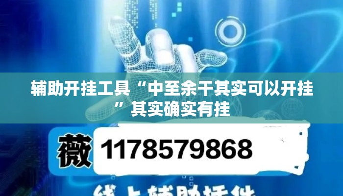 辅助开挂工具“中至余干其实可以开挂	”其实确实有挂