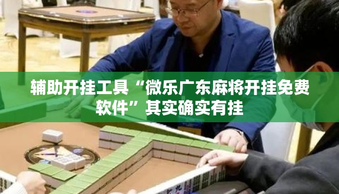 辅助开挂工具“微乐广东麻将开挂免费软件”其实确实有挂