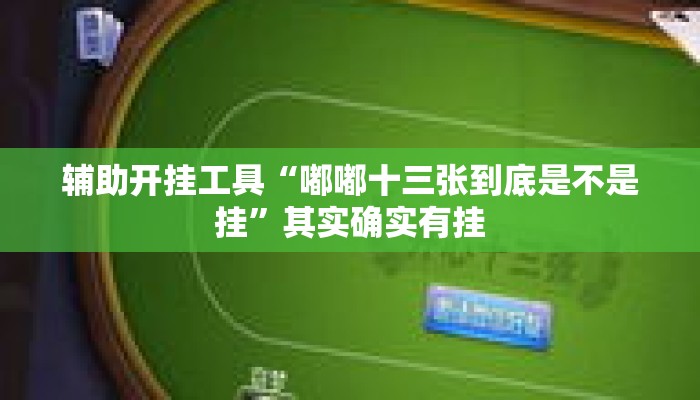 辅助开挂工具“嘟嘟十三张到底是不是挂”其实确实有挂