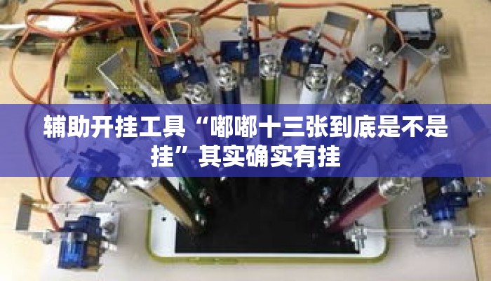 辅助开挂工具“嘟嘟十三张到底是不是挂	”其实确实有挂